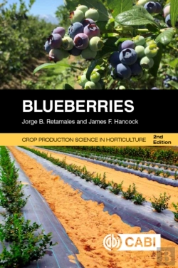 Bertrand.pt - Blueberries