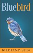 Bluebird