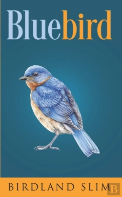 Bertrand.pt - Bluebird