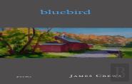 Bluebird