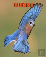 Bluebird