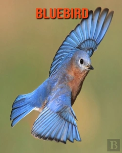 Bertrand.pt - Bluebird