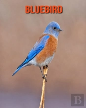 Bluebird