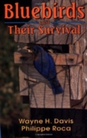 Bluebirds And Their Survival