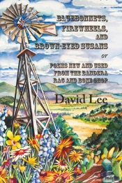 Bluebonnets, Firewheels, And Brown-Eyed Susans, Or, Poems New And Used From The Bandera Rag And Bone Shop