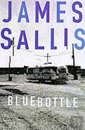 Bluebottle