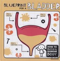 Blueprint For A Bladder
