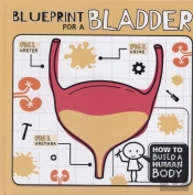 Blueprint For A Bladder