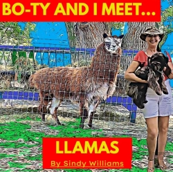 Bertrand.pt - Bo-Ty And I Meet Llamas
