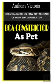 Boa Constrictor As Pet