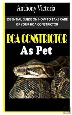 Bertrand.pt - Boa Constrictor As Pet