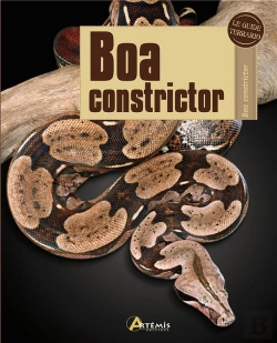 Bertrand.pt - Boa Constrictor
