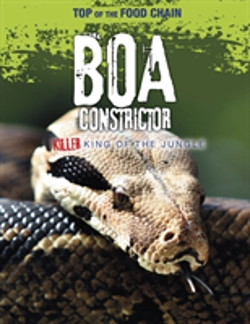 Bertrand.pt - Boa Constrictor