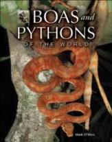 Boas And Pythons Of The World
