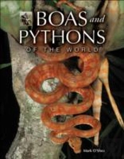 Boas And Pythons Of The World