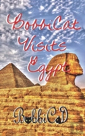 Bobbicat Visits Egypt