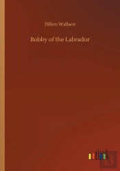 Bobby Of The Labrador