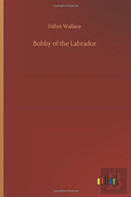 Bobby Of The Labrador