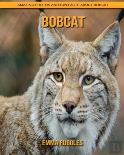 Bertrand.pt - Bobcat
