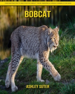 Bertrand.pt - Bobcat