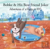 Bobke   His Best Friend Joker: Adventure