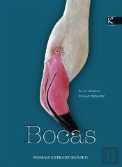 Bocas