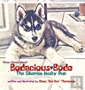 Bodacious Bode - The Siberian Husky Pup