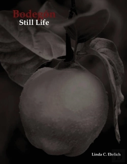 Bertrand.pt - Bodegon / Still Life