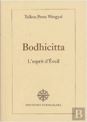 Bodhicitta L'Esprit D'Eveil