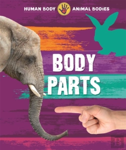 Bertrand.pt - Body Parts