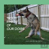 Body Parts Of Our Dogs