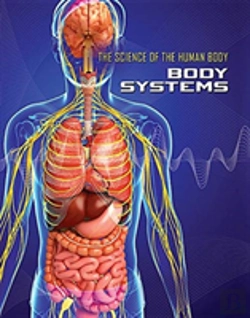 Bertrand.pt - Body Systems