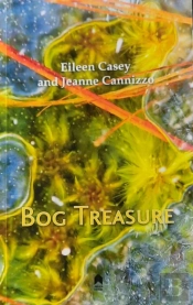 Bog Treasure