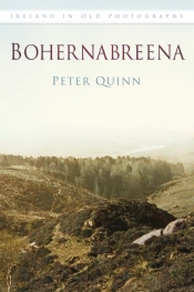 Bohernabreena