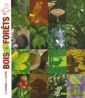 Bois & Forêts