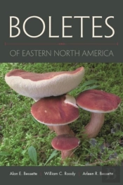 Boletes Of Eastern North America