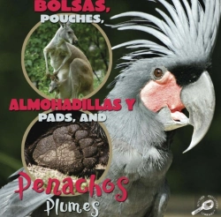 Bertrand.pt - Bolsas, Almohadillas Y Penachos