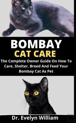 Bertrand.pt - Bombay Cat Care