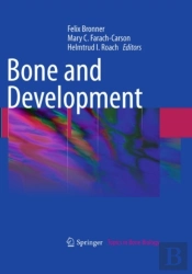 Bone And Development