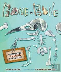 Bone By Bone