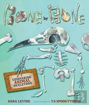 Bone By Bone