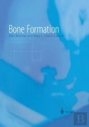 Bone Formation