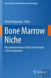 Bone Marrow Niche