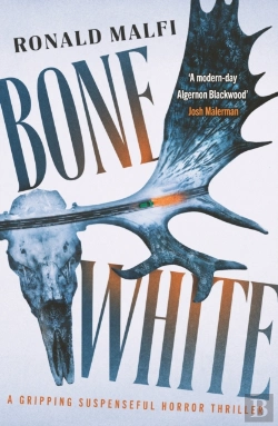 Bertrand.pt - Bone White