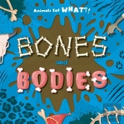 Bones And Bodies