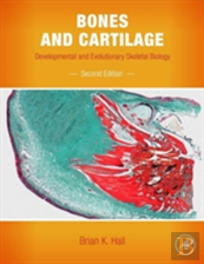 Bones And Cartilage