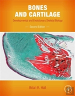 Bertrand.pt - Bones And Cartilage