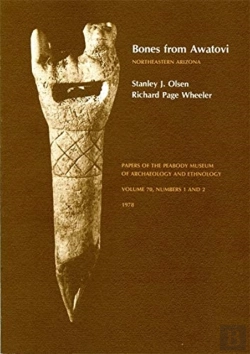Bertrand.pt - Bones From Awatovi, Northeastern Arizona