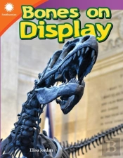 Bones On Display