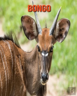 Bertrand.pt - Bongo